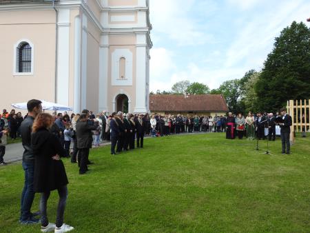 Slavnostno zasadili cepljenko najstarejše vinske trte na svetu 3